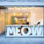 Kedi Cafe Meow Parlour