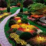 en güzel bahçe renklendirmeleri
